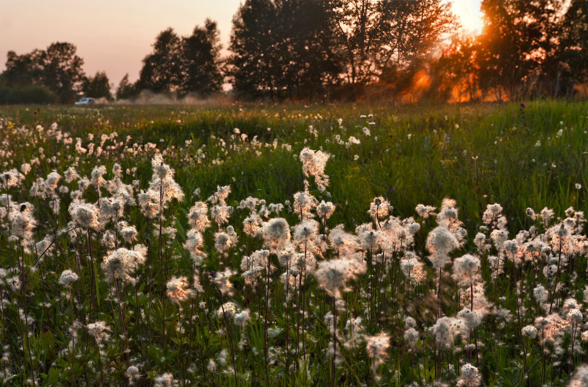 ��������� ���� ������