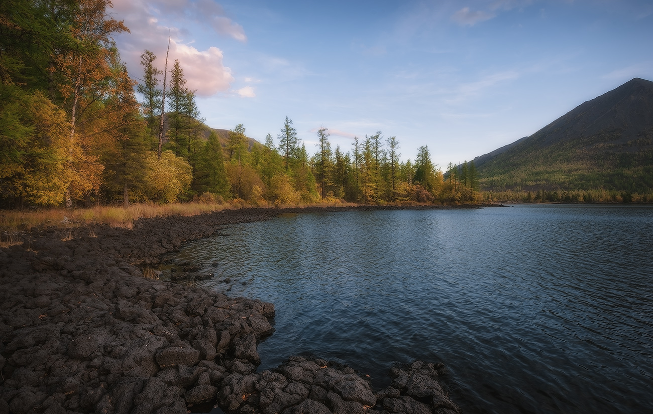 �� ������...