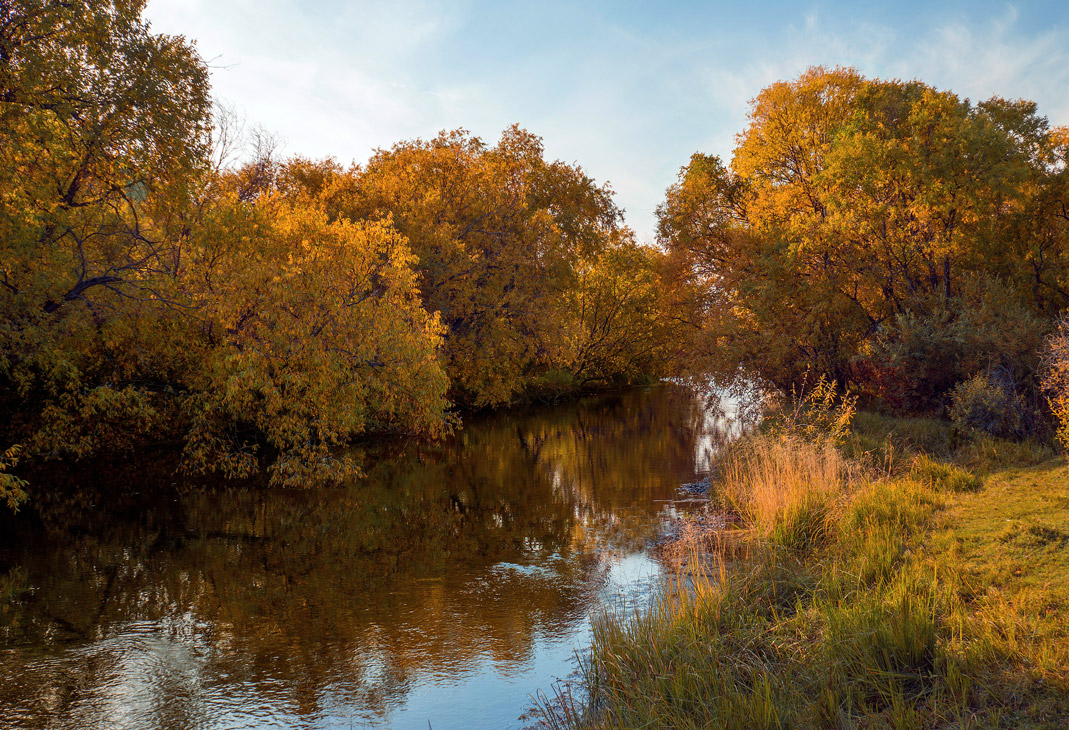 ���� � ������� ��������