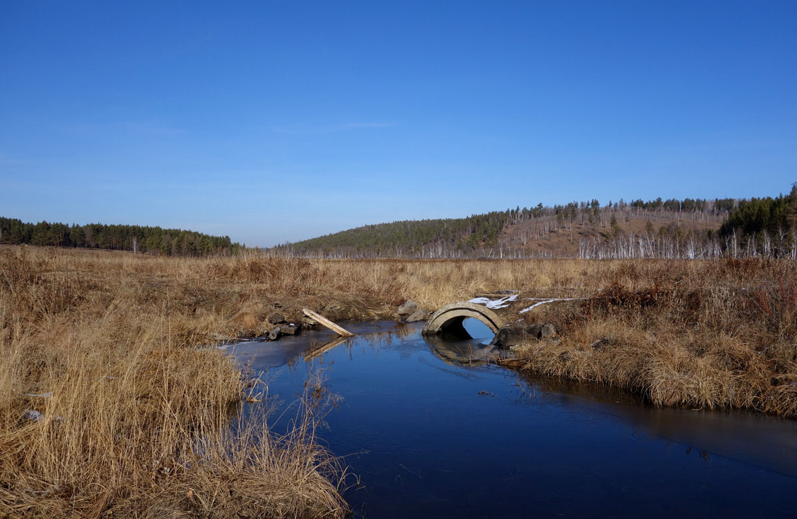 �������� �.������