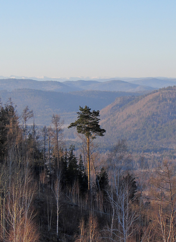 ��� ������� ������ 03