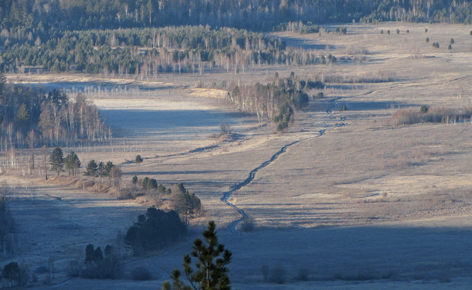 ����� ������ �. �����