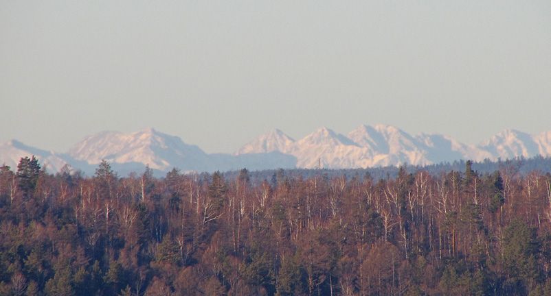 ����� �����