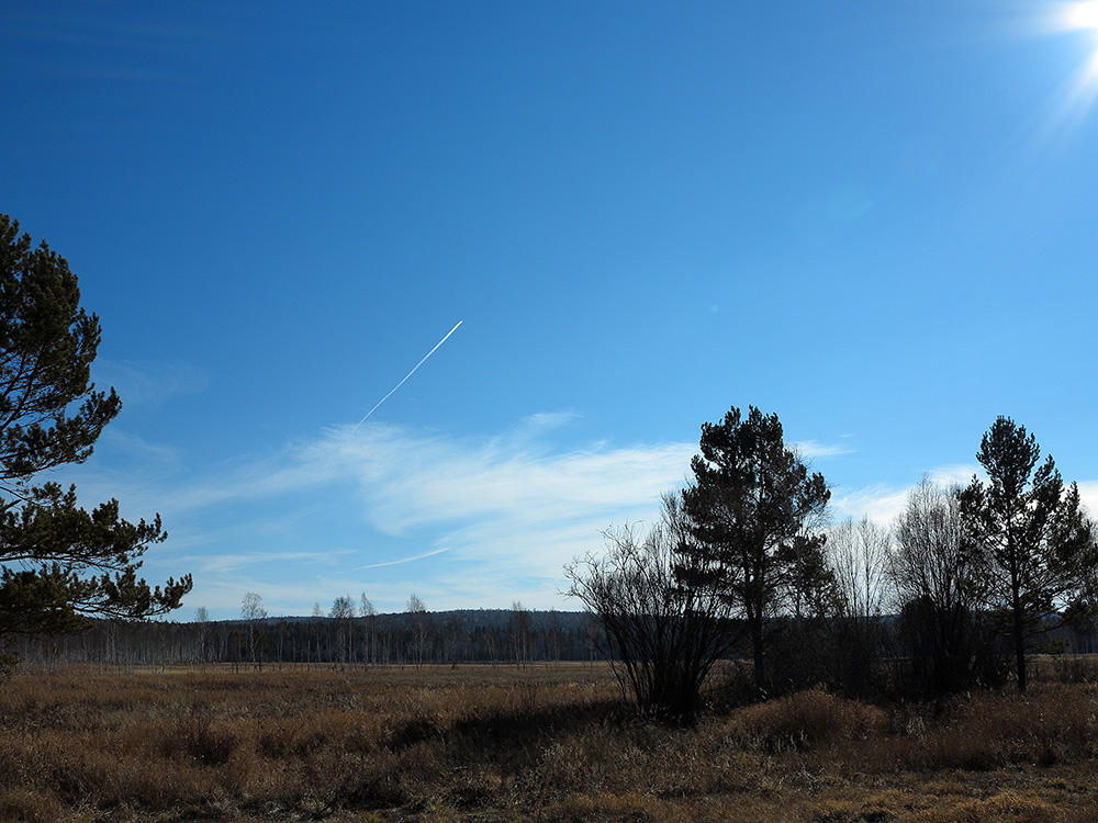 **** � ������.