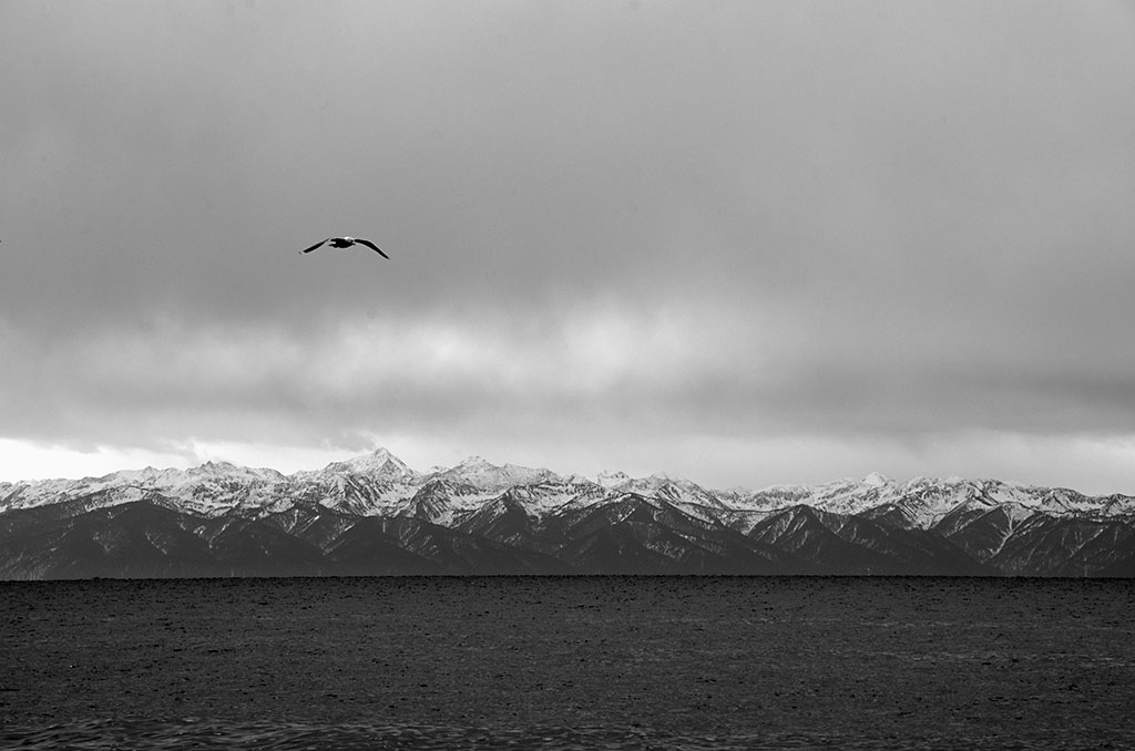 ����. ������. �����