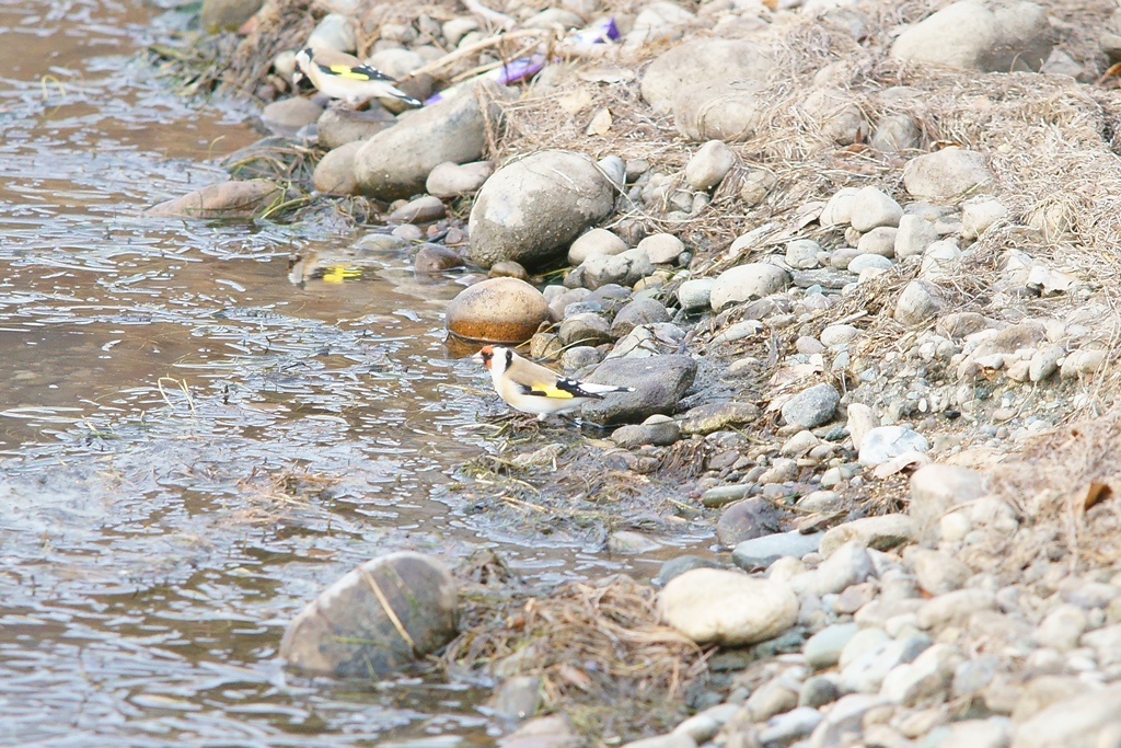 �������� ������