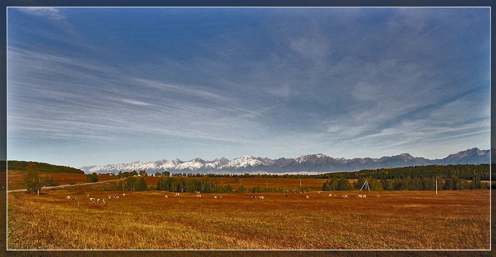 ���������� �������