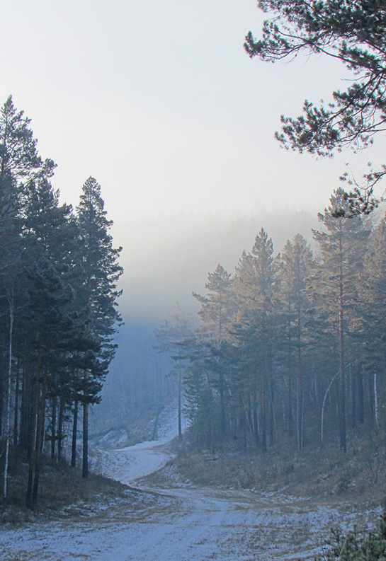 ��� � �����