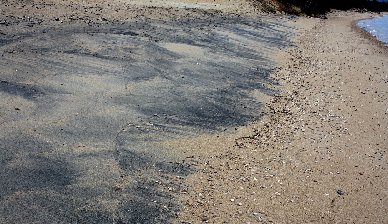 "������" �����