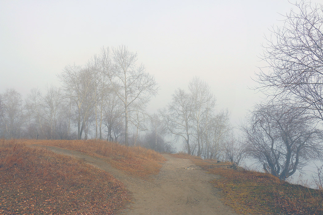 ������� ��������� � ����� ��������