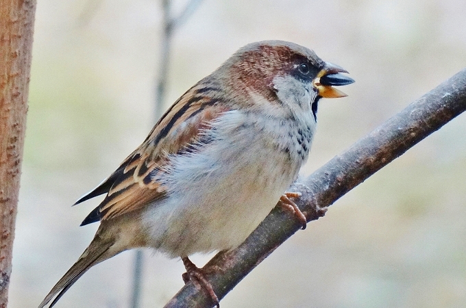 ��������� �������...