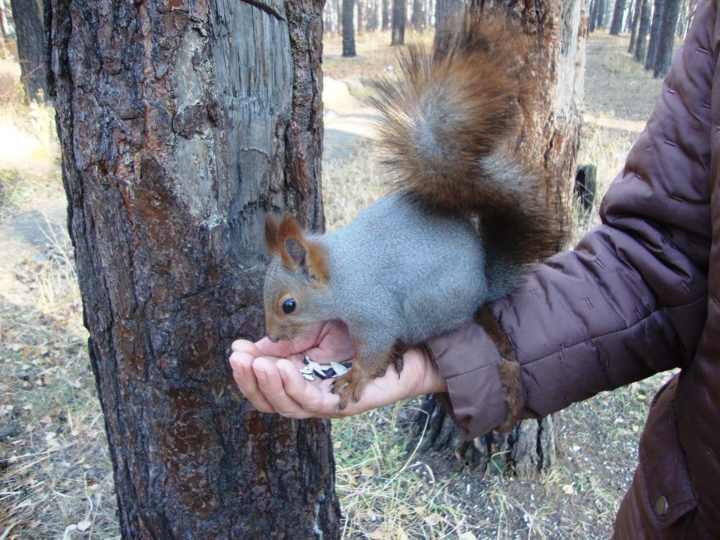 101-� ������� �� �����