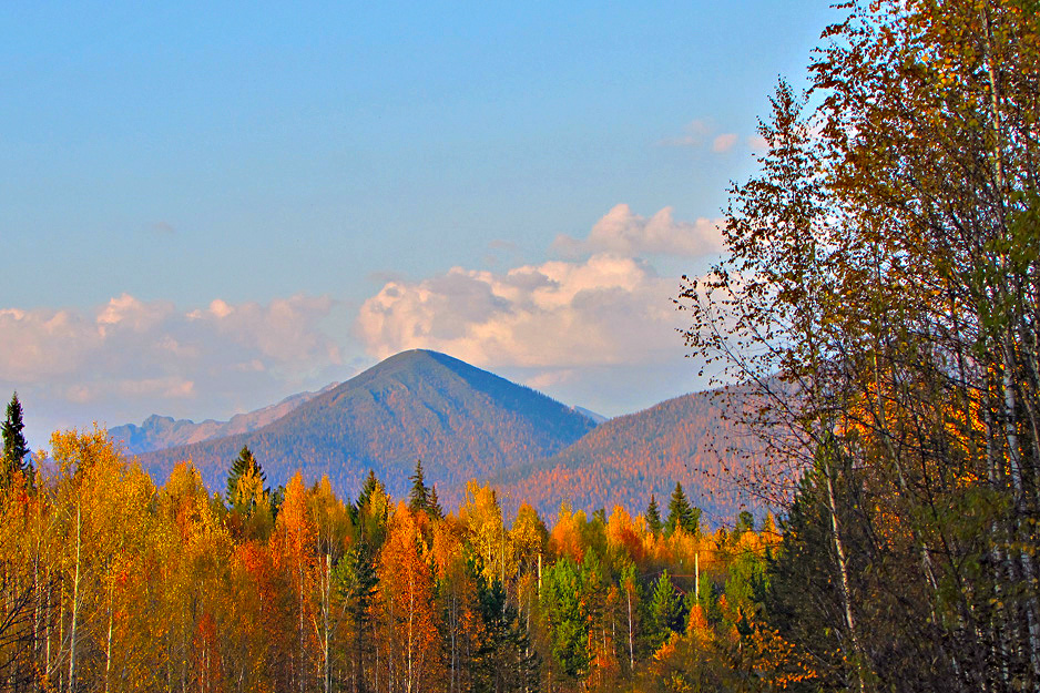 ����� ���. �������