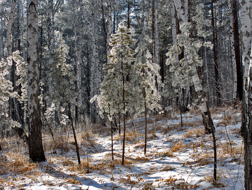 ������� �������� ������� - 2 ����������...