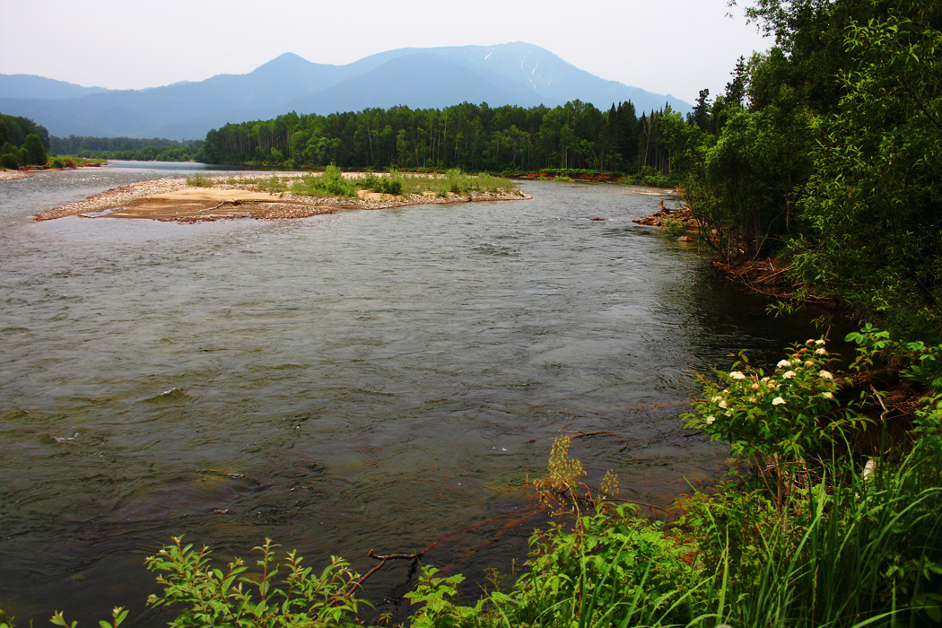 ���� �������