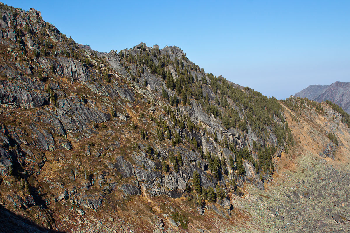 ������������� ��������