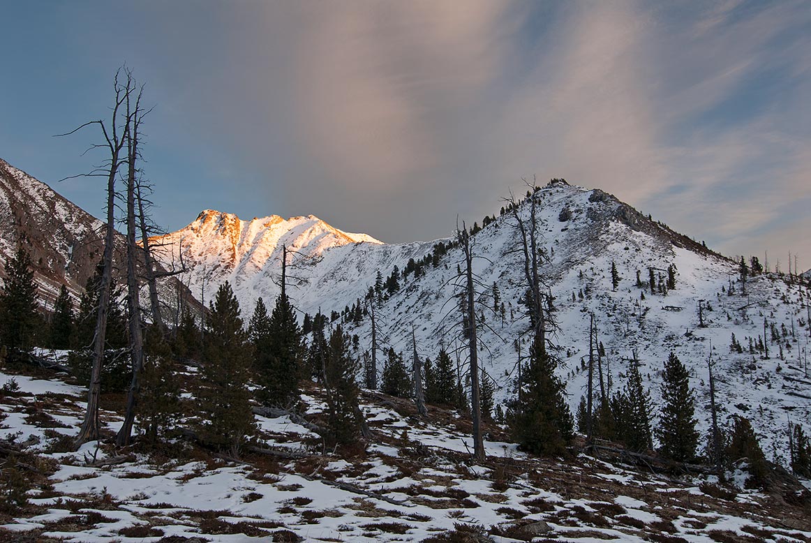 ���� ������