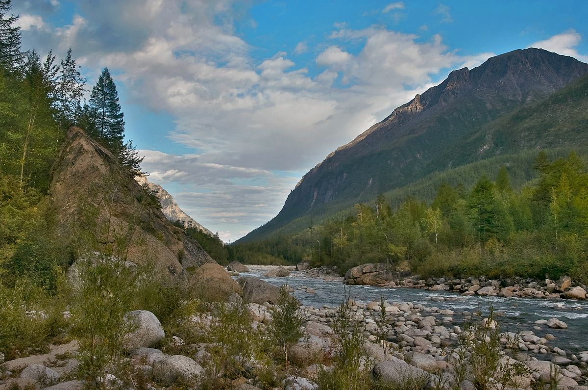 �� ���� ������, ����?