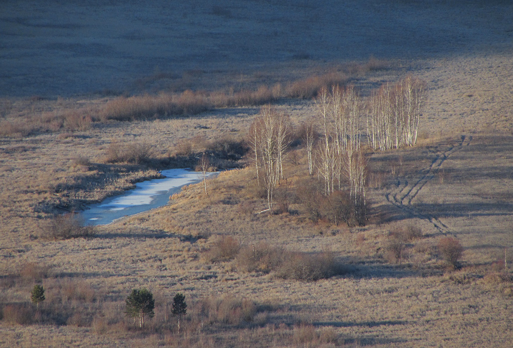 � �������� ���������