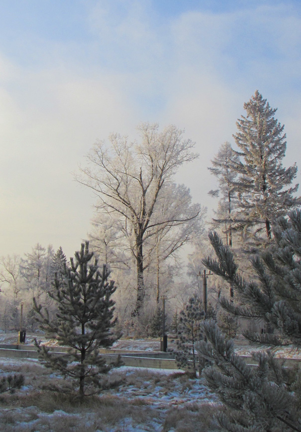 ����� � �����