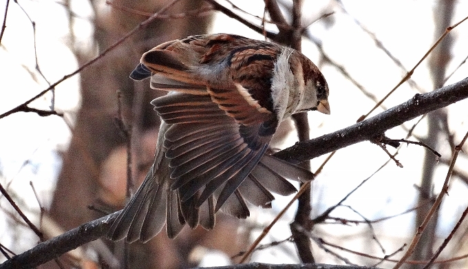 ��������...