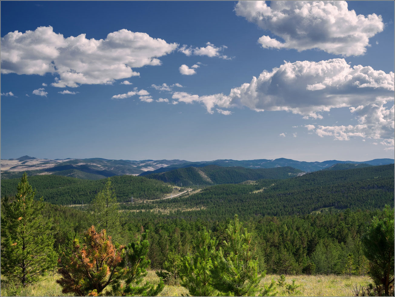 ������ �.. ������ ����