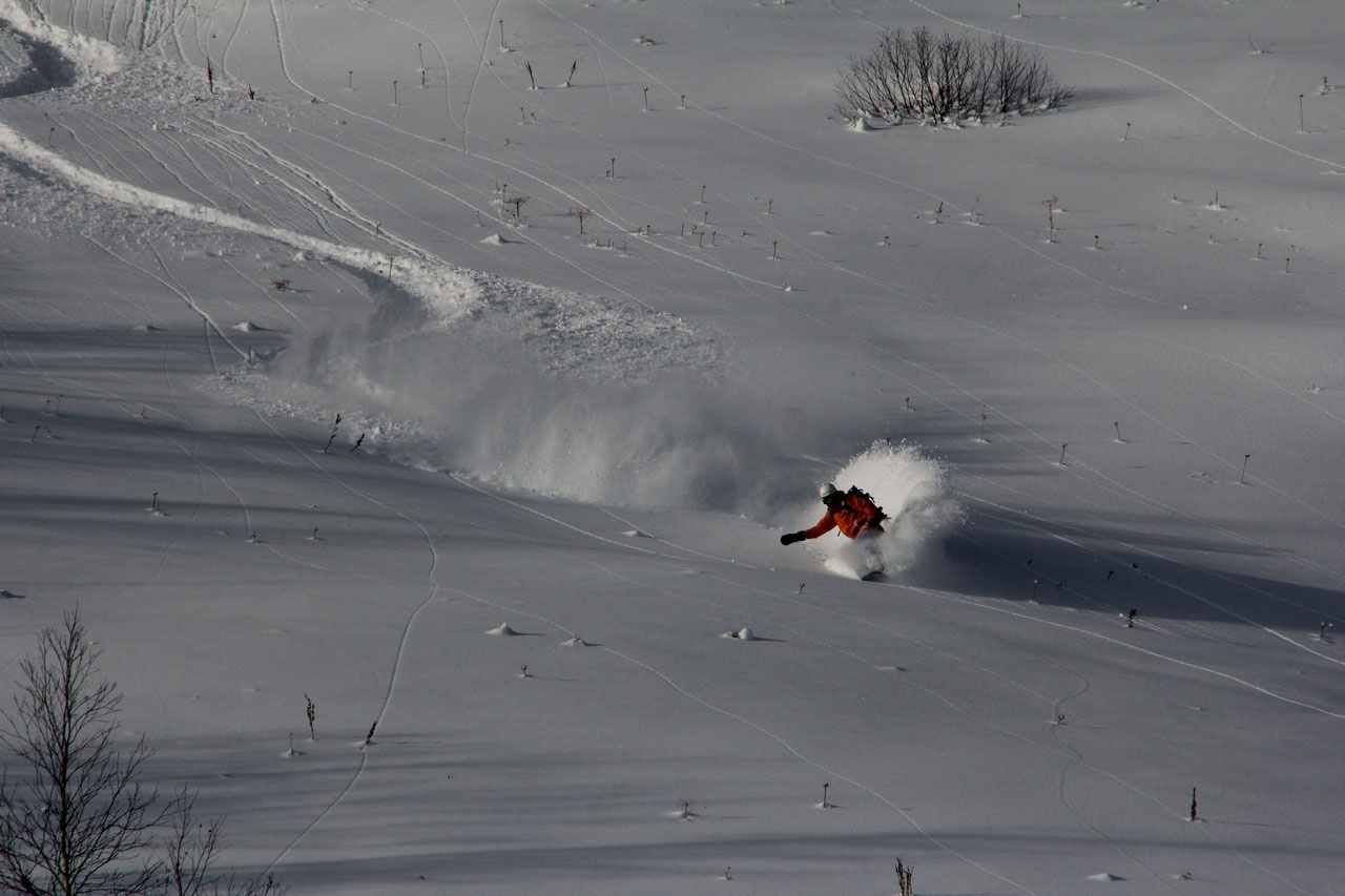 �� ������� �����.