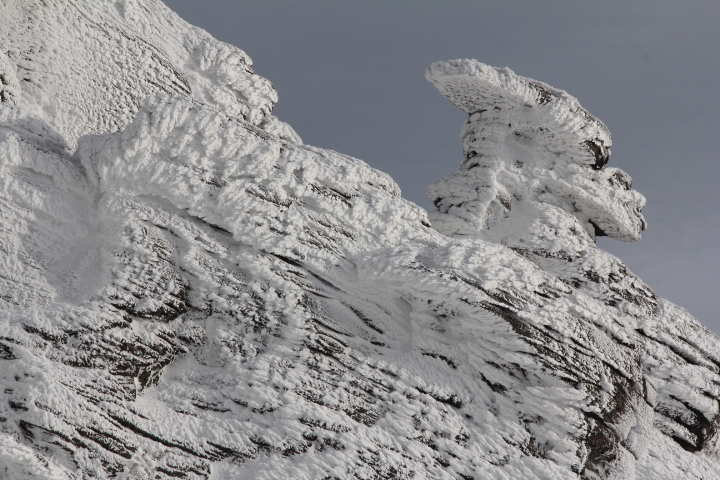 ��������� �����.