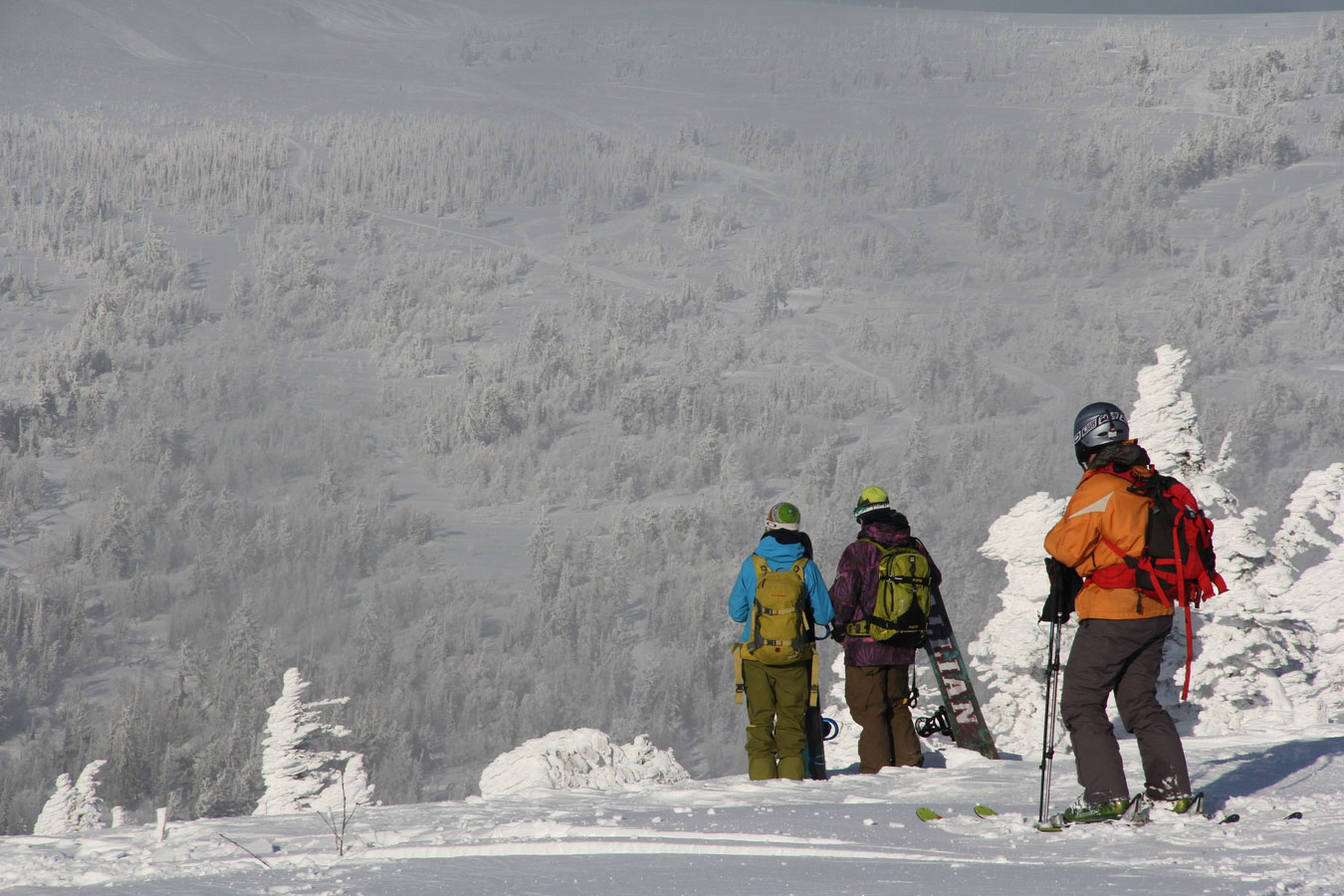 ����� �������.