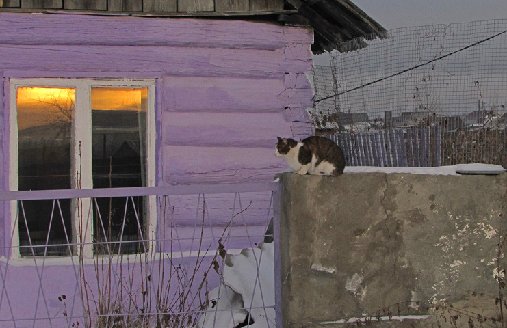 ����������� �����...