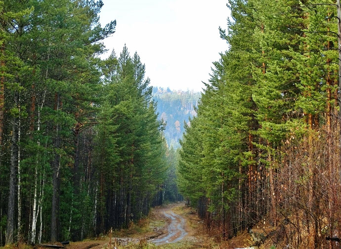 ����� �����...