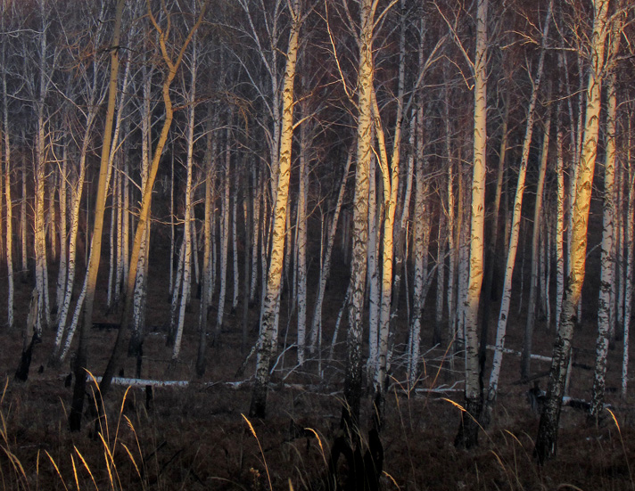 � ��������� ����� ������ 2