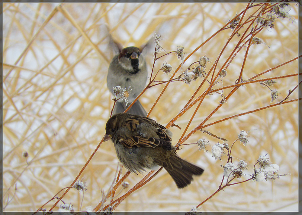 �� �� ����, �� �� �������