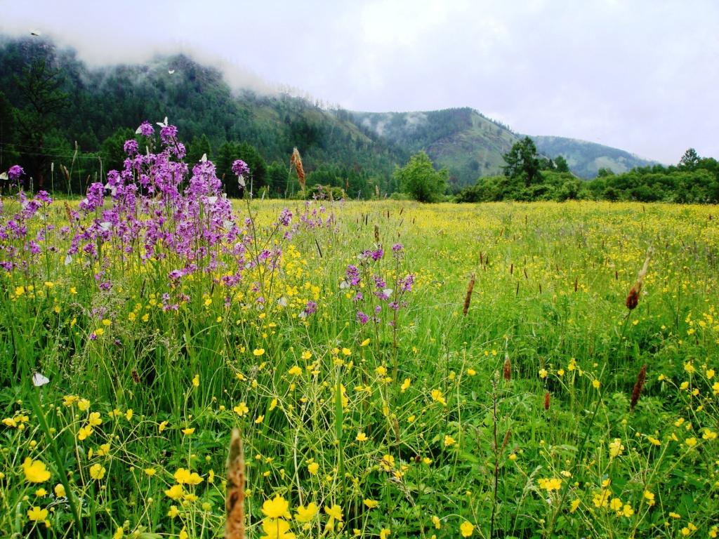 ������ ����� 2