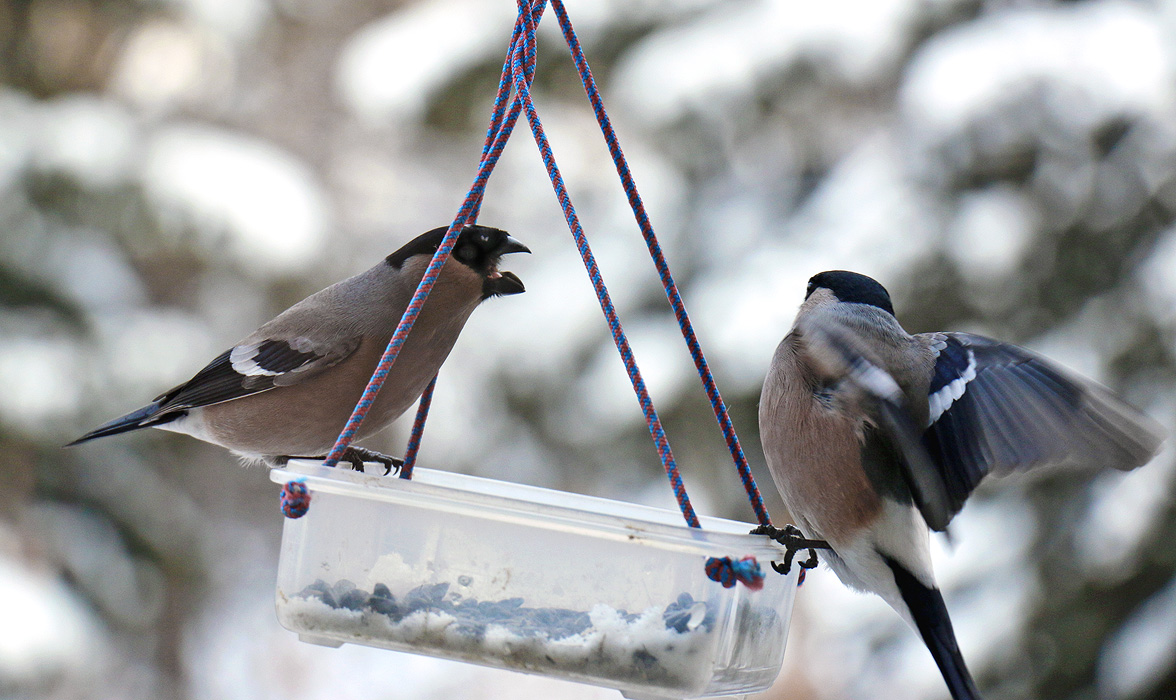 "�������� � ��������" ��� ������ ������ :)