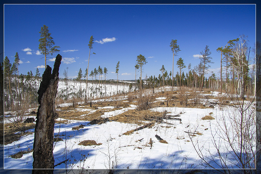 �����-�� ����� ��� ���