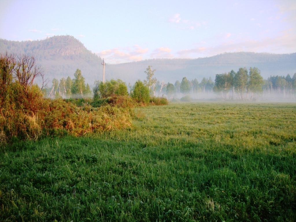 ������ ����