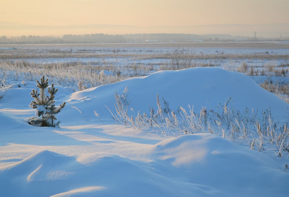 ����������� �������