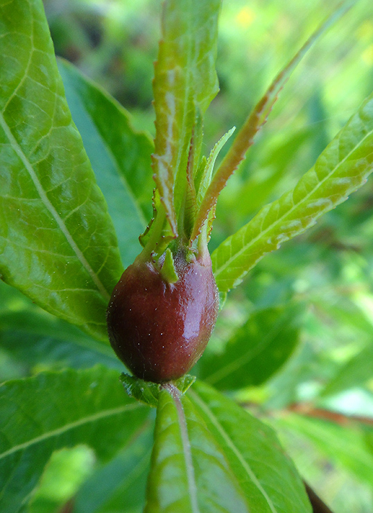 ""