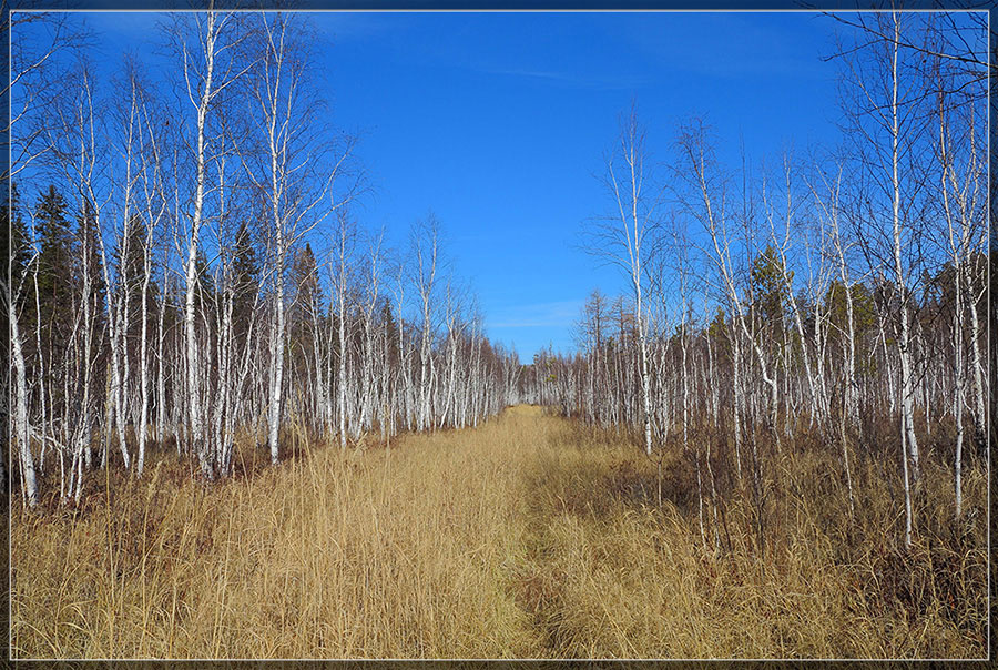 ������� ��������, �������