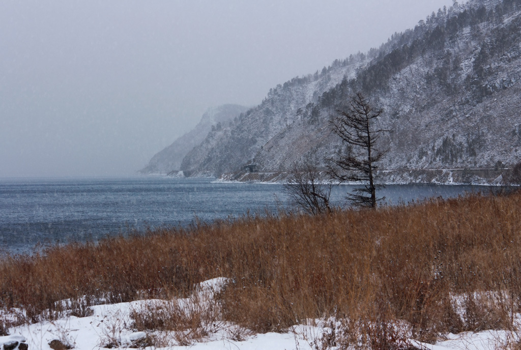 ������ �����