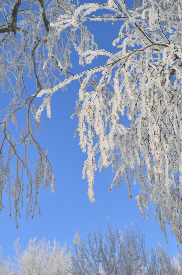 �������� ������� � ���������