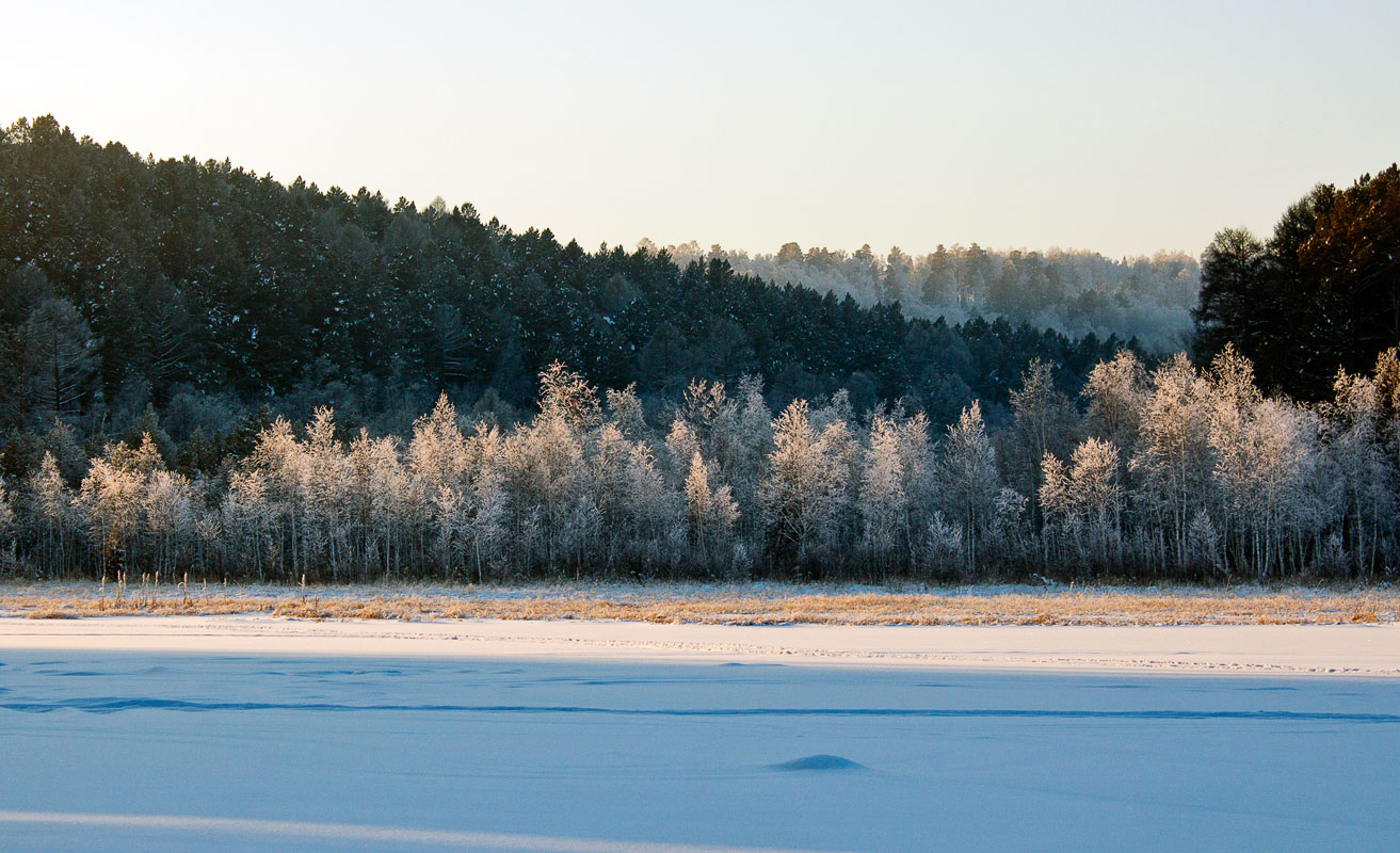 ����� ������ �������