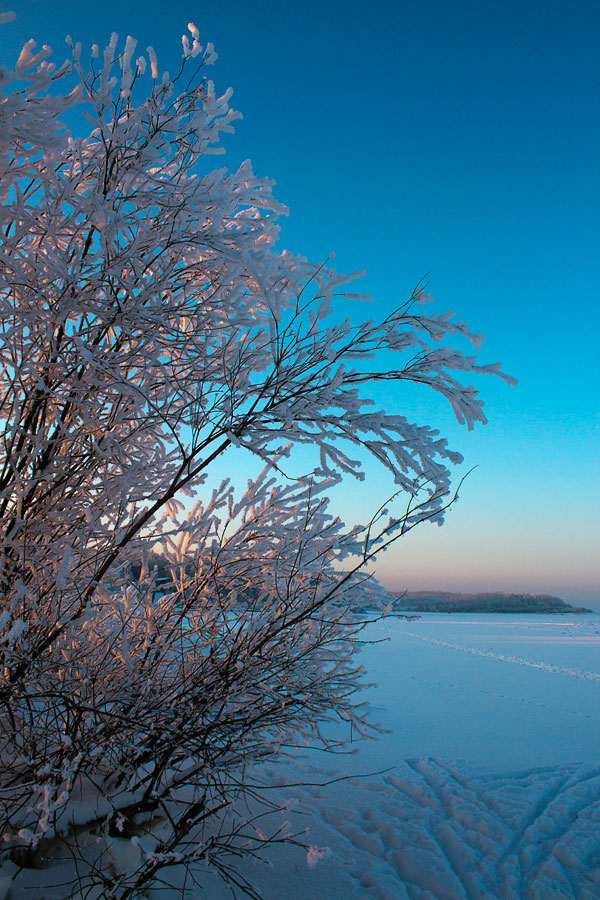 � �������� �����