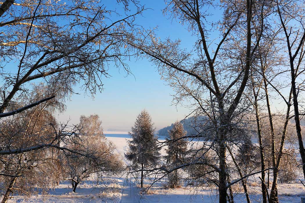 ��� �� �����