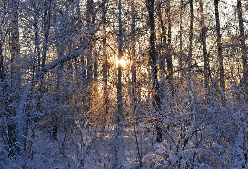 ������� ����� ������������