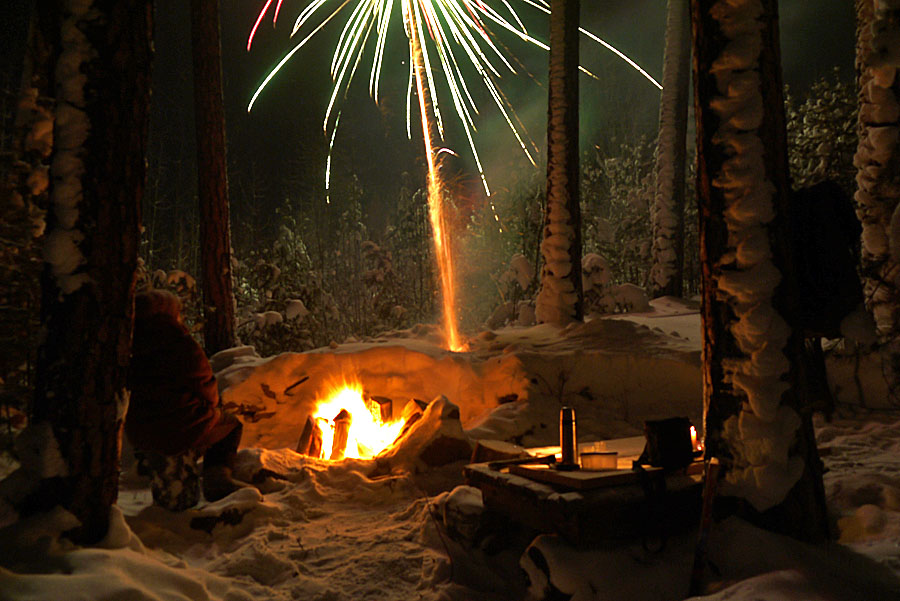 Новый 2015 год