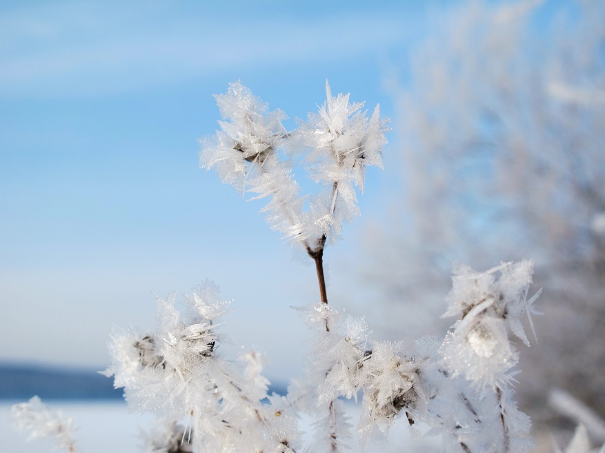 ������� �����...