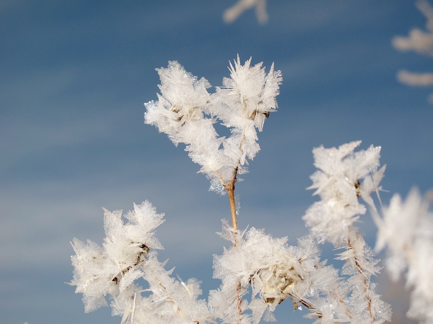 ������� �����...