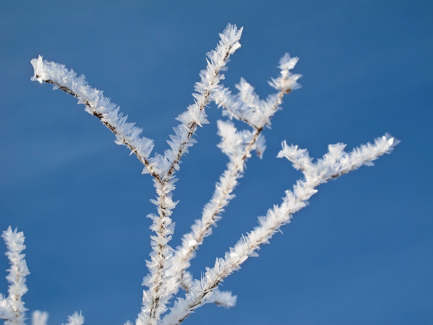 ������� �����...